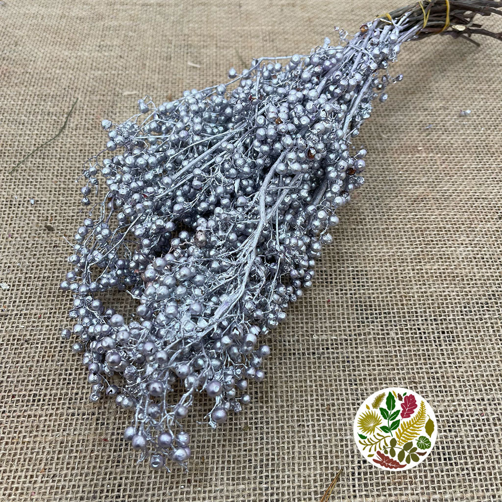 Schinus Molle Fruit (Painted) (DRY) (Various Colours)