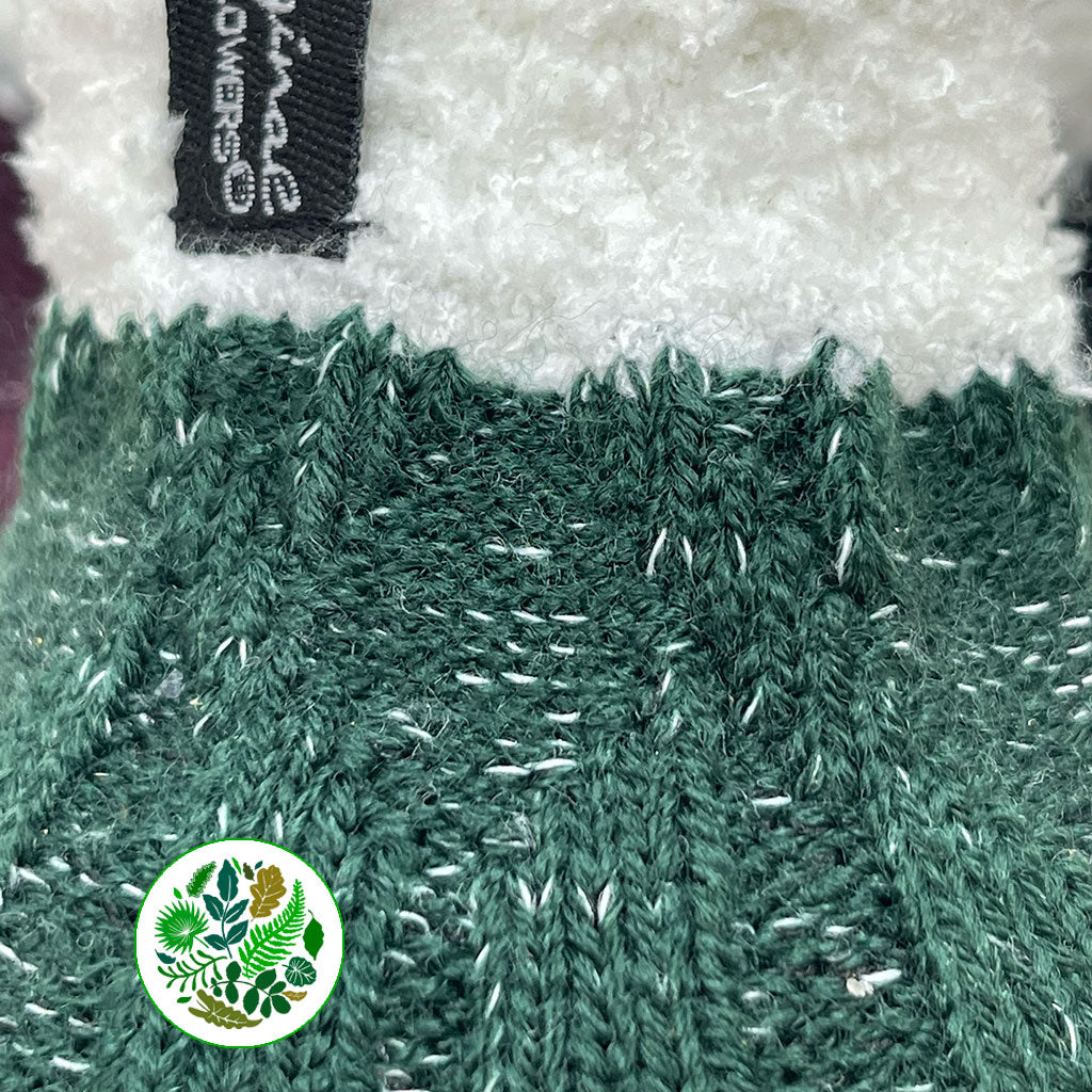 Wax 'Amaryllis' (Various Colours)