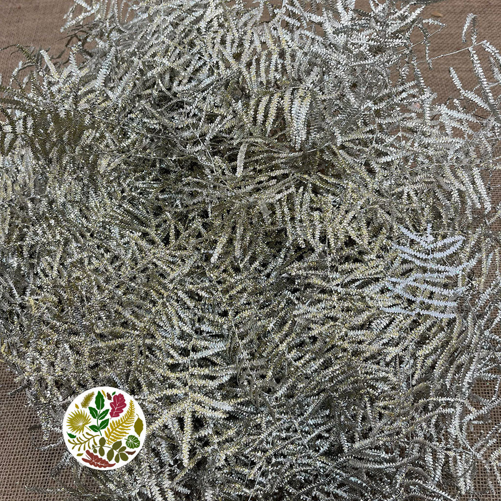 Fern 'Coral Fern' (Painted or Glittered) (x10)