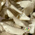Eucalyptus 'Stuartiana' (Stabilised) (Painted) (DRY) (Various Colours)