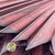 Palm 'Fan Palm' (Painted) (DRY) (Various Colours) (x5) 45-55cm