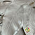 Eucalyptus 'Exotica' (Preserved & Painted) (DRY) (Various Colours)