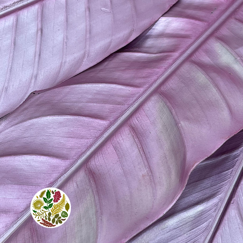 Strelitzia &#39;Leaves&#39; (Fresh) (Painted) (Various Colours) (x10)
