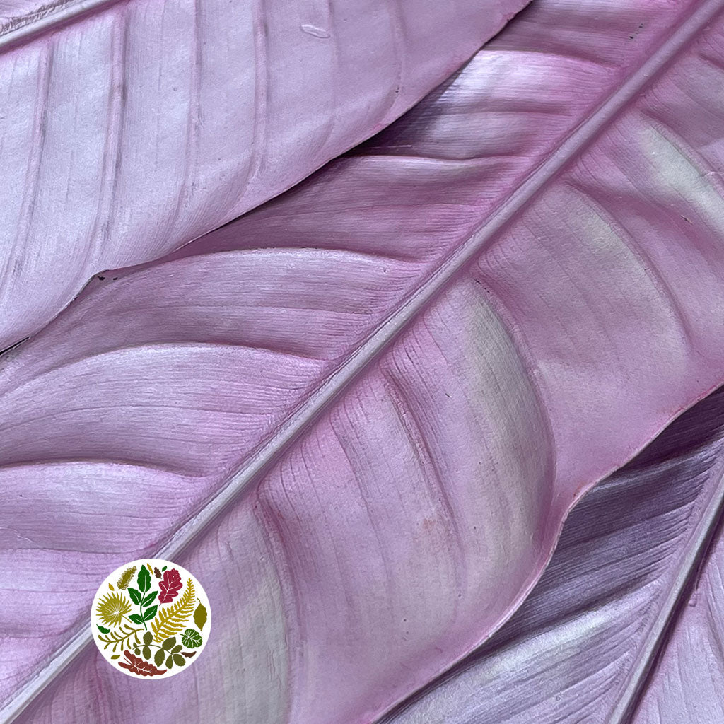 Strelitzia 'Leaves' Painted (Various Colours) (x10)