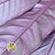 Strelitzia 'Leaves' (Fresh) (Painted) (Various Colours) (x10)