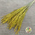 Rice Grass 'Oryza' (Yellow) (DRY)