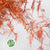Fern 'Asparagus' (Painted/Glitter) 45cm (Various Colours) (x50)