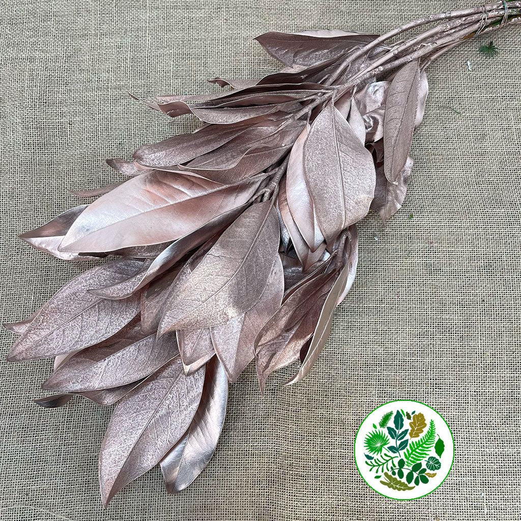 Magnolia &#39;Foliage&#39; (Painted Metallic) (Various Colours) 80cm (300g)