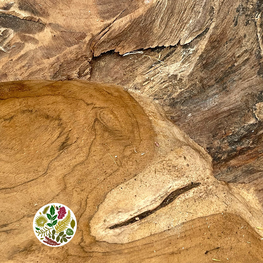 Teak &#39;Bowl&#39; (Erosi) DRY (Various Widths)