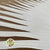 Palm 'Anahaw' (Bleached) (DRY) (Various Sizes) (Per Stem)