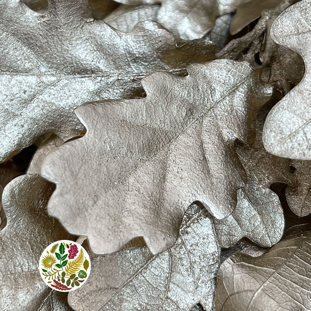 Oak 'Stabilised' (Painted) (DRY) (Various Colours)
