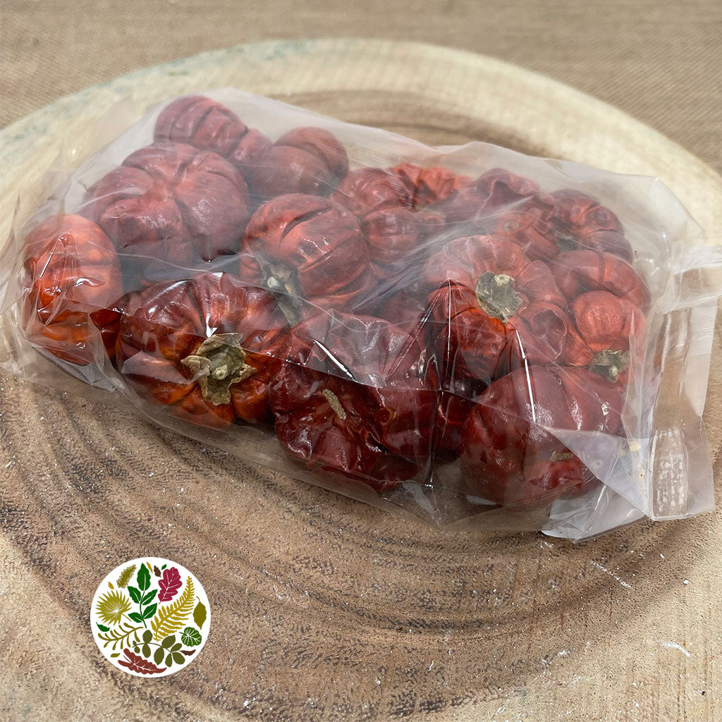 Fruit &#39;Pumpkini &#39;Mini&#39; (DRY) (Various Sizes)