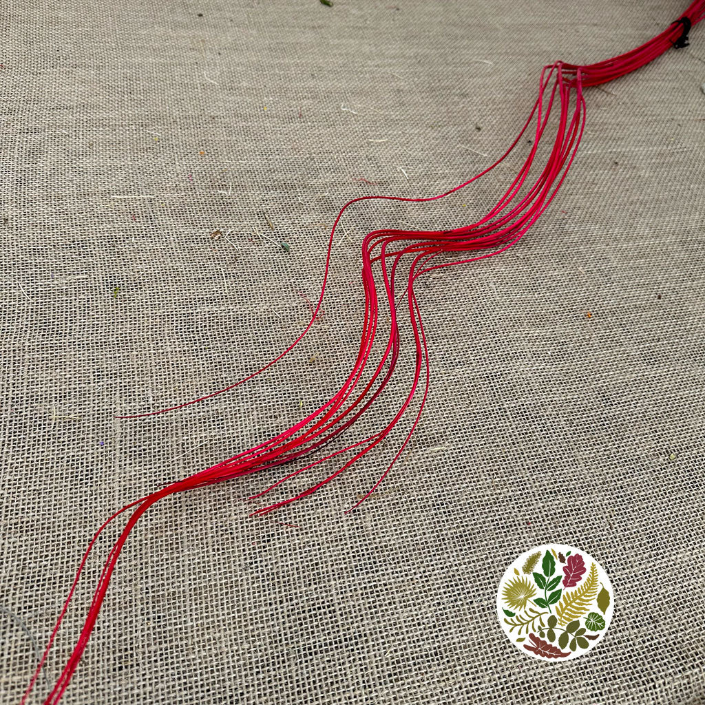 Twigs 'Weiden Curl' (Painted) (DRY) (Various Colours) 1m (x10)