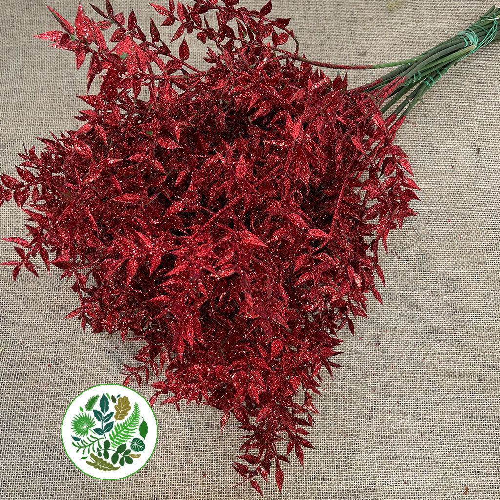 Ruscus &#39;Wild&#39; (Painted &amp; Glitter) (DRY) (x5)