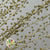 Scrotularia 'Berries' (Painted) (DRY) (Various Colours)