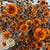 Stillingia Flowers DRY 'Various Colours' (x10)