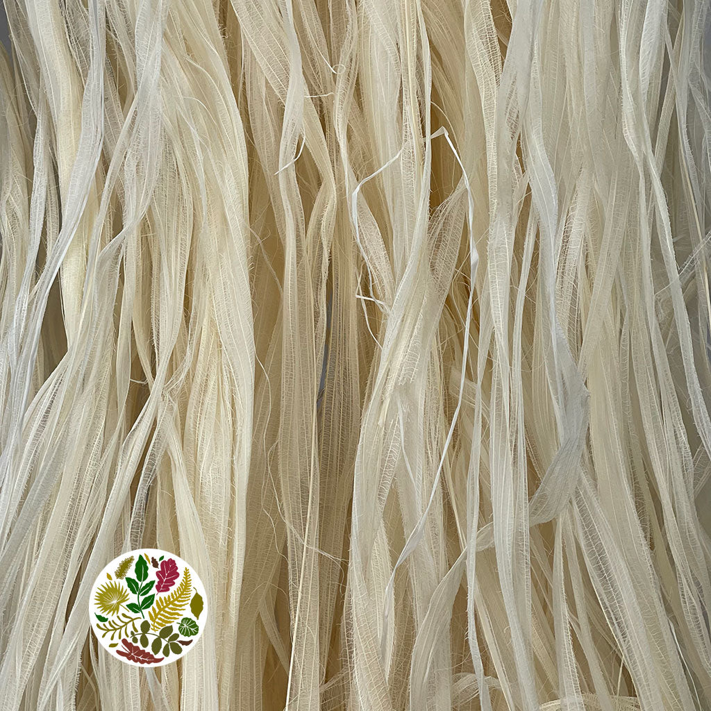 Raffia 'Skeleton' (Bleached)  (Various Sizes)