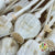 Poppy 'Heads' (Bleached) (Various Sizes) (DRY)