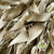 Ruscus 'Trailing' (Preserved & Painted) (DRY) (Various Colours)