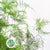 Fern 'Asparagus' (Painted/Glitter) 65cm (Various Colours) (x50)