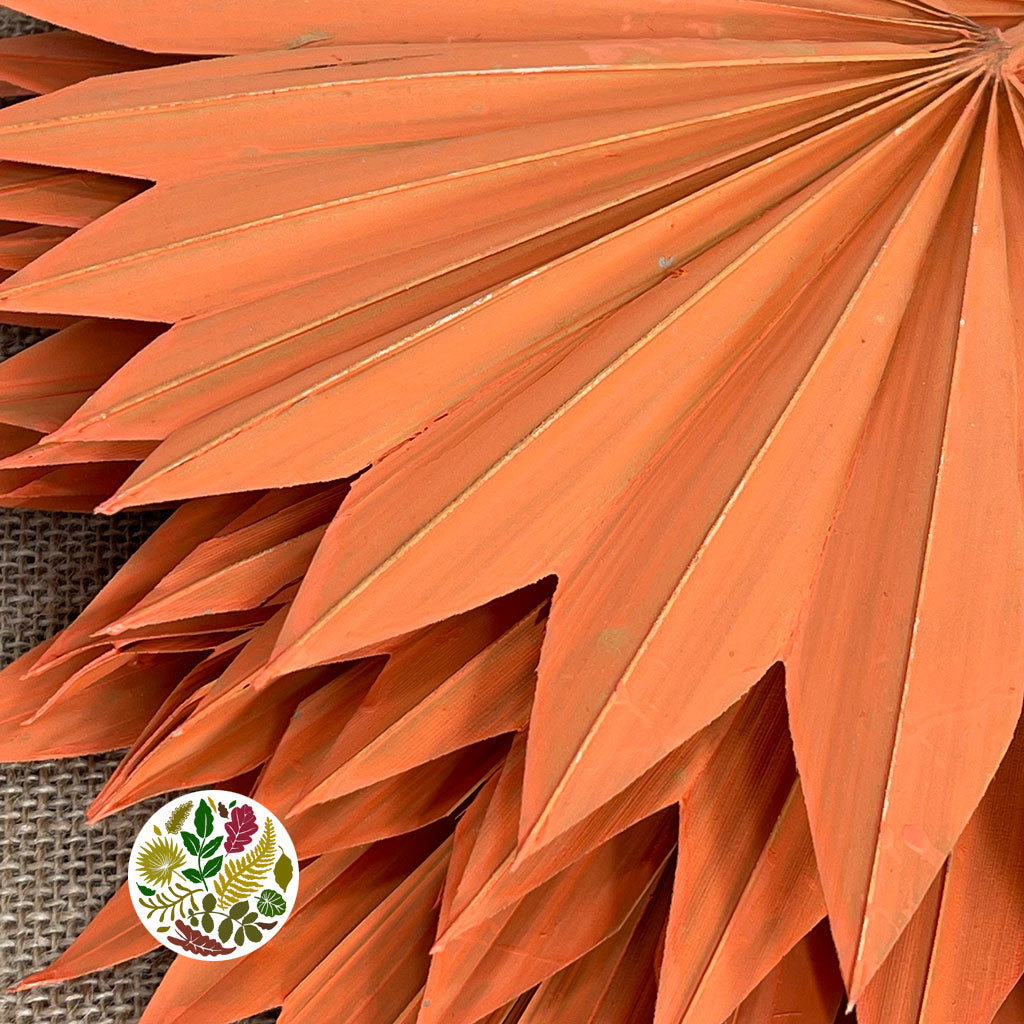 Palm &#39;Fan Palm&#39; (Painted) (DRY) (Various Colours) (x5) 45-55cm