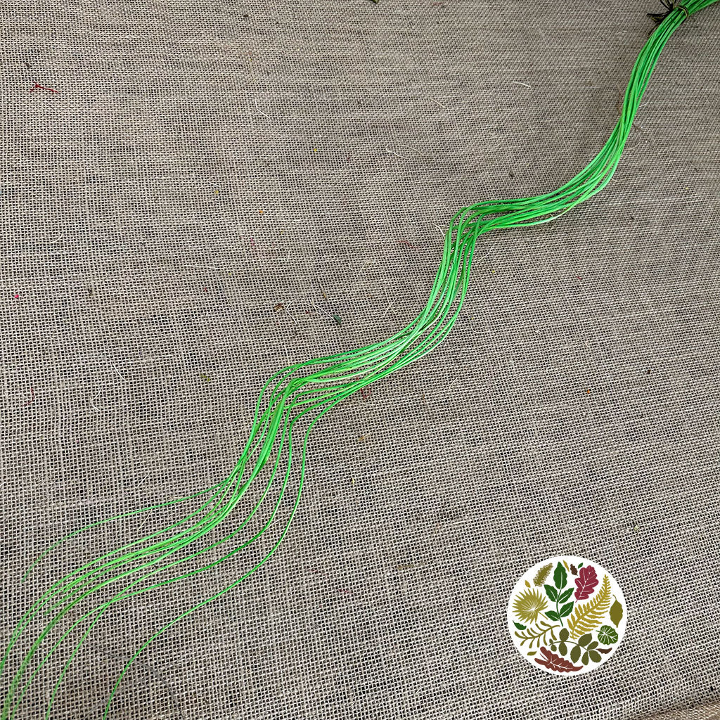 Twigs 'Weiden Curl' (Painted) (DRY) (Various Colours) 1m (x10)