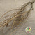 Twigs 'Willow' (Pepper) 110cm (DRY) (Per Stem)