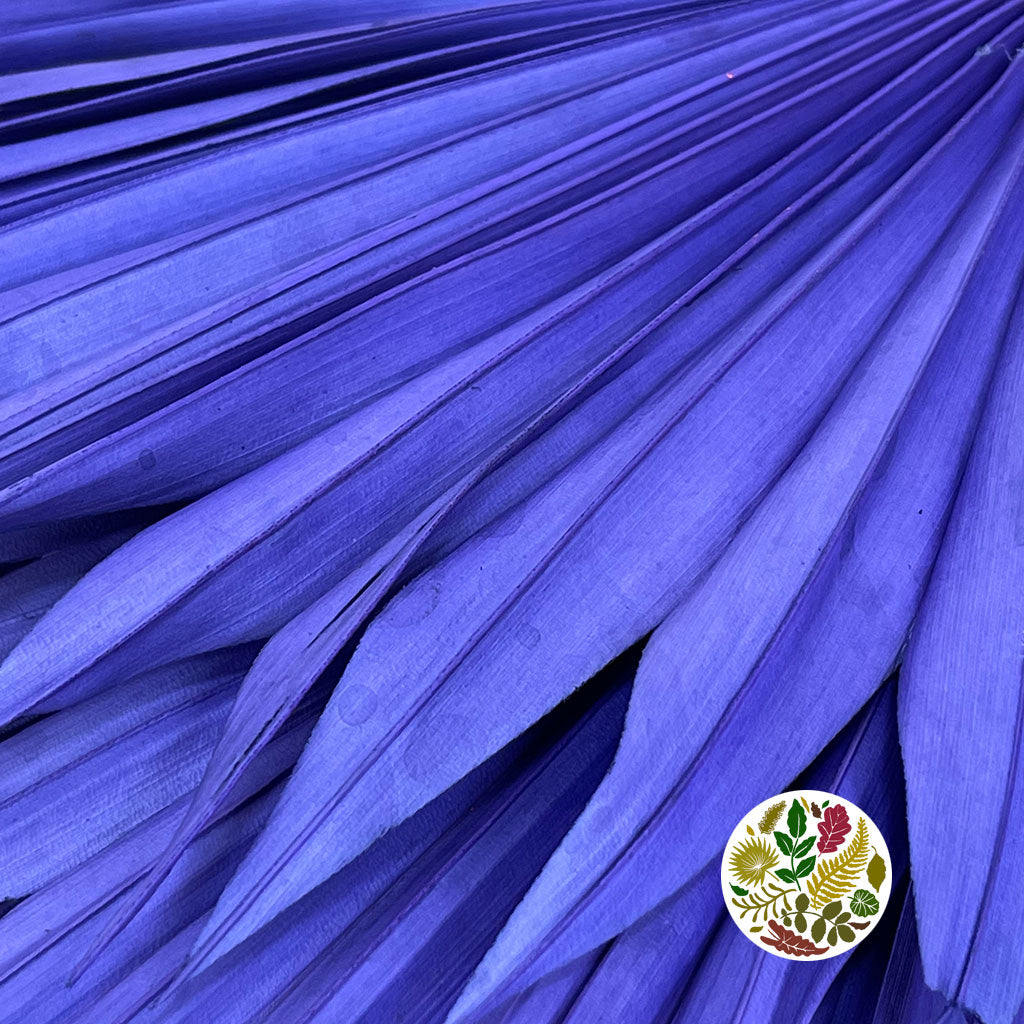 Palm &#39;Fan Palm&#39; (Painted) (DRY) (Various Colours) (x5) 45-55cm
