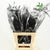 Fern 'Asparagus' (Painted) 85cm (Various Colours) (x50)
