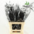 Fern 'Asparagus' (Painted) 65cm (Various Colours) (x50)