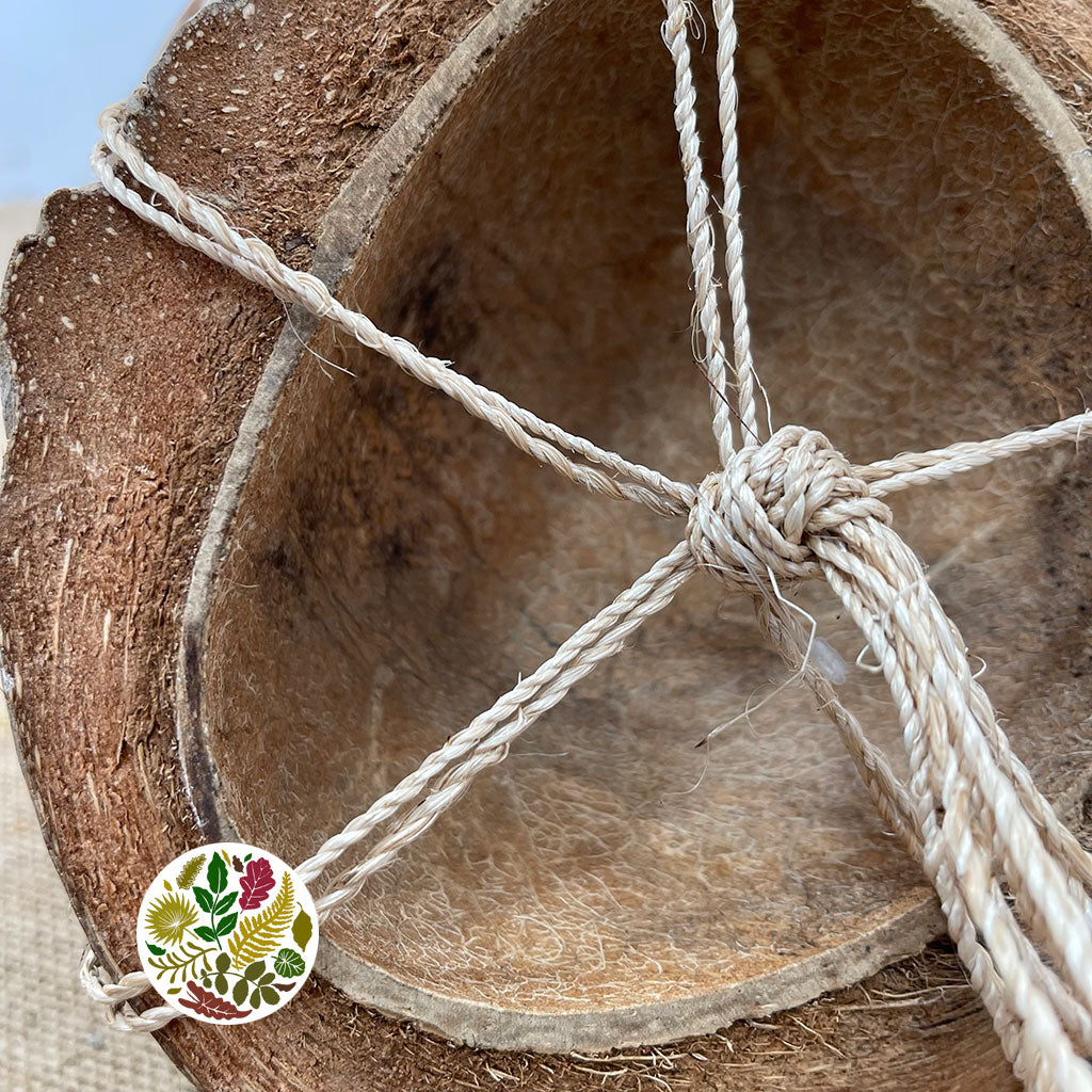 Coconut &#39;Shells&#39; (DRY) (Various Sizes)