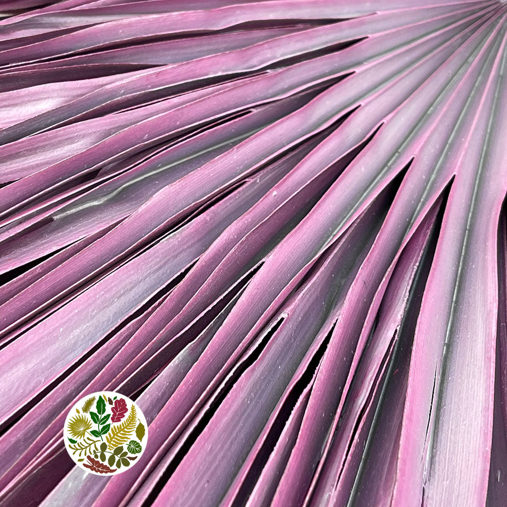 Palm &#39;Chamerops&#39; (Painted Metalic Colours) (Various) (x5)