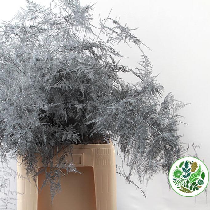 Fern &#39;Asparagus&#39; (Painted/Glitter) 85cm (Various Colours) (x50)