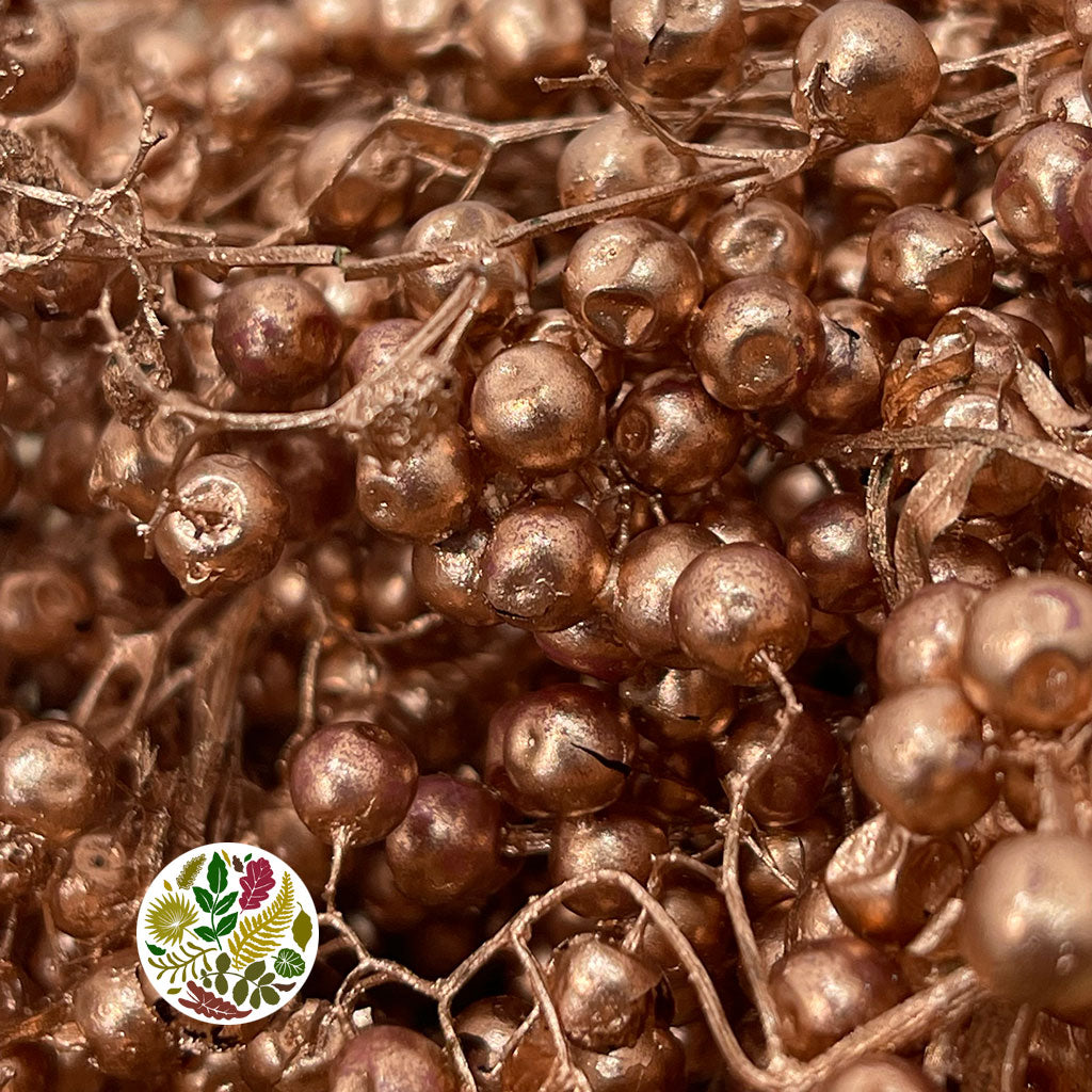 Schinus Molle Fruit (Painted) (DRY) (Various Colours)