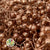Schinus Molle Fruit (Painted) (DRY) (Various Colours)