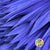 Palm 'Fan Palm' (Painted) (DRY) (Various Colours) (x5) 45-55cm