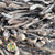 Wreath 'Botay' (Natural) (DRY) (Various Sizes)