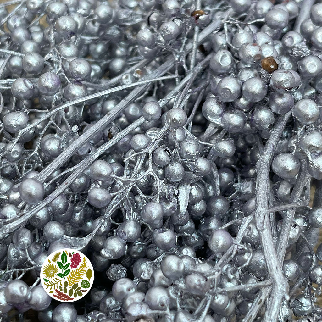 Schinus Molle Fruit (Painted) (DRY) (Various Colours)