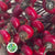 Rose Hips 'Sensational Fantasy' (Various Heights)