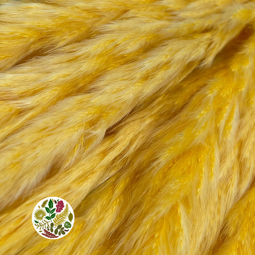 Grass 'Pampas' (Fluffy Baby) (Coloured) (DRY) (Various Sizes)