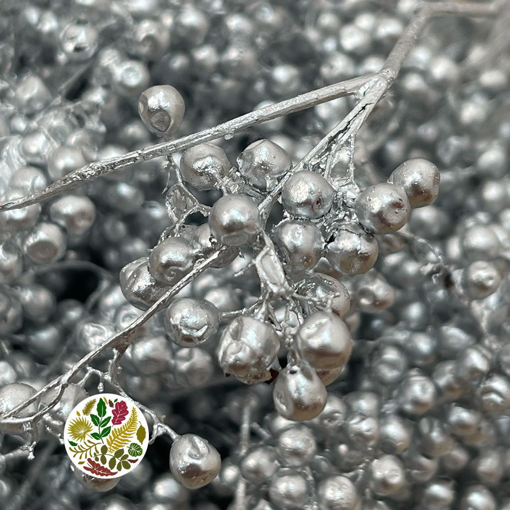 Schinus Molle Fruit (Painted) (DRY) (Various Colours)