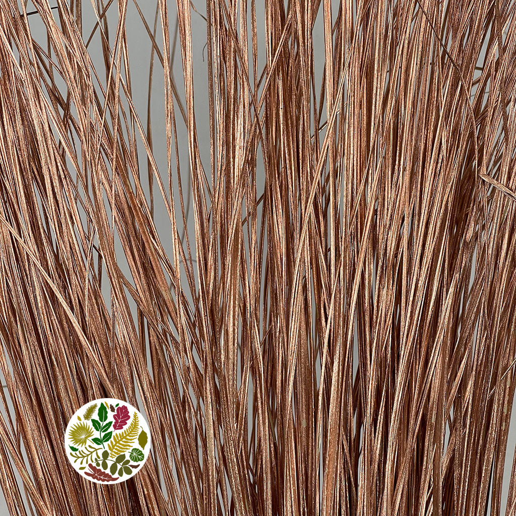 Grass 'Bear Grass' XXL (Painted) (Various Colours)