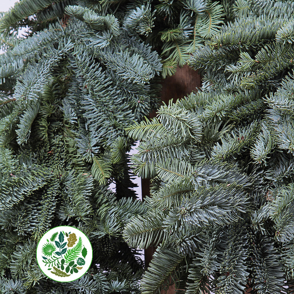 Garland &#39;Blue Pine&#39; (Various Lengths) &#39;Per Foot&#39;