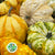 Gourds 'Mix Trays' (Various Types)