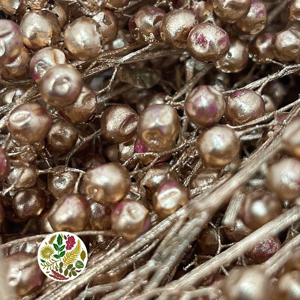 Schinus Molle Fruit (Painted) (DRY) (Various Colours)