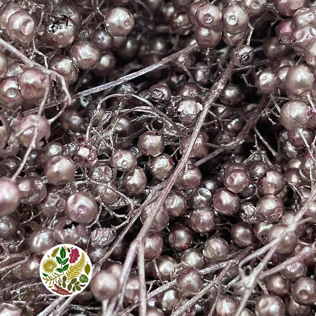 Schinus Molle Fruit (Painted) (DRY) (Various Colours)