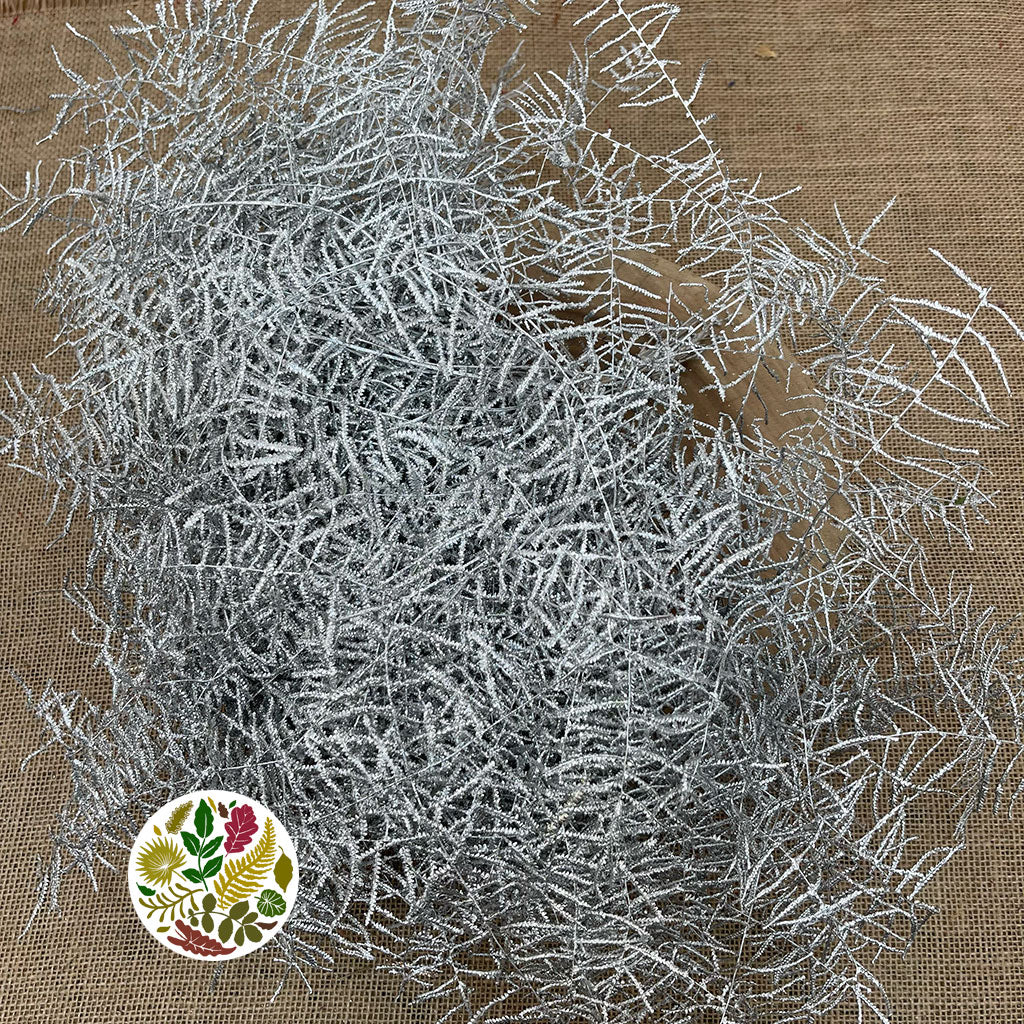 Fern 'Coral Fern' (Painted or Glittered) (x10)