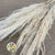 Grass 'Pampas' (Evita) (Bleached) (DRY) (Various Sizes)