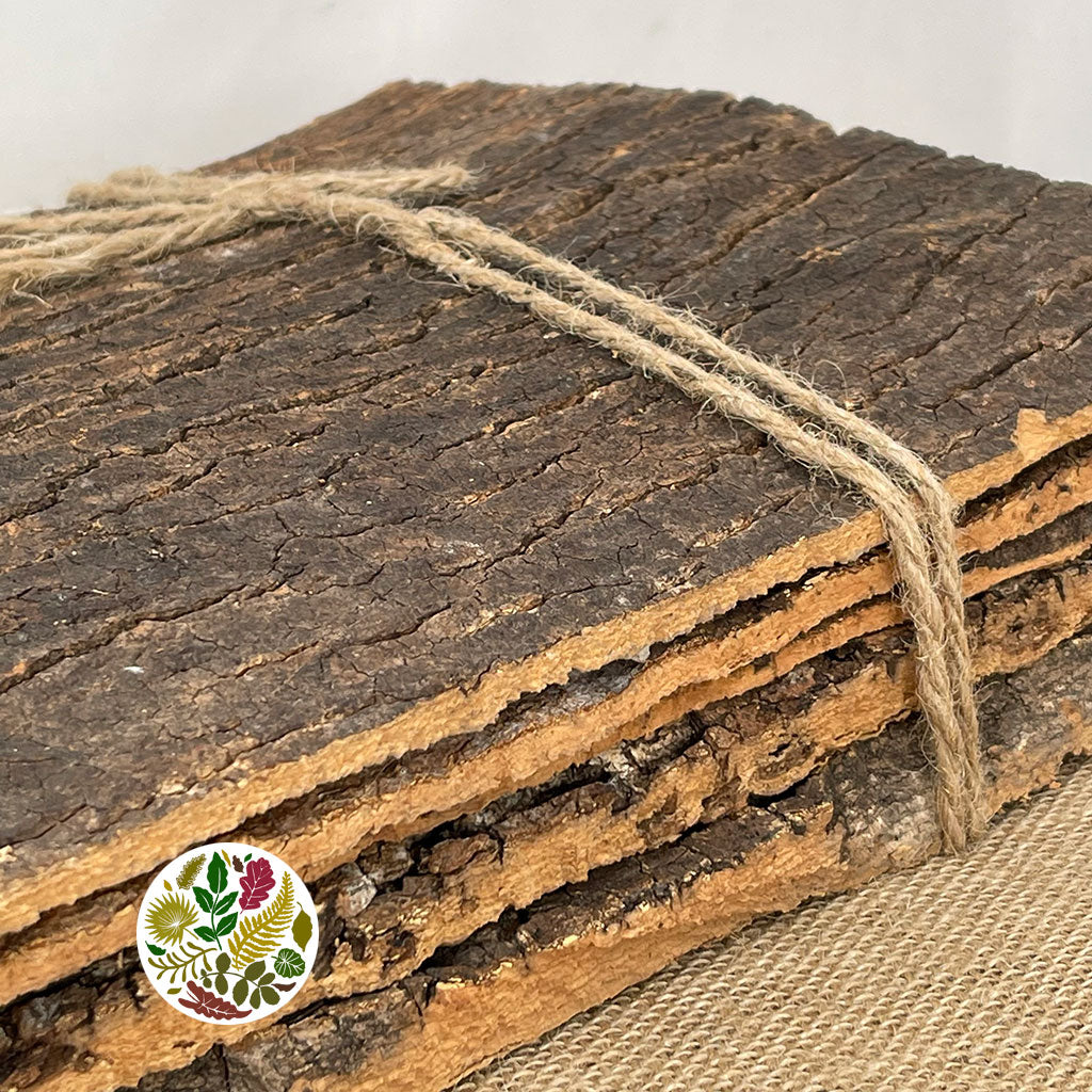 Bark Strips &#39;Thick&#39; (Natural) (Various Sizes) (DRY)