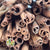 Cinnamon (DRY) (Various Sizes)